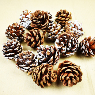 �}�Q���Ĕz�����}�Q�b�Ⱦ����������ֹ�diy�Q�����ɹ�200�����l