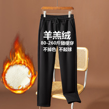 �ﶬ���ӽq�Ӻ����q��aŮѝ�ɾo���^һ�����l260��250��240��.