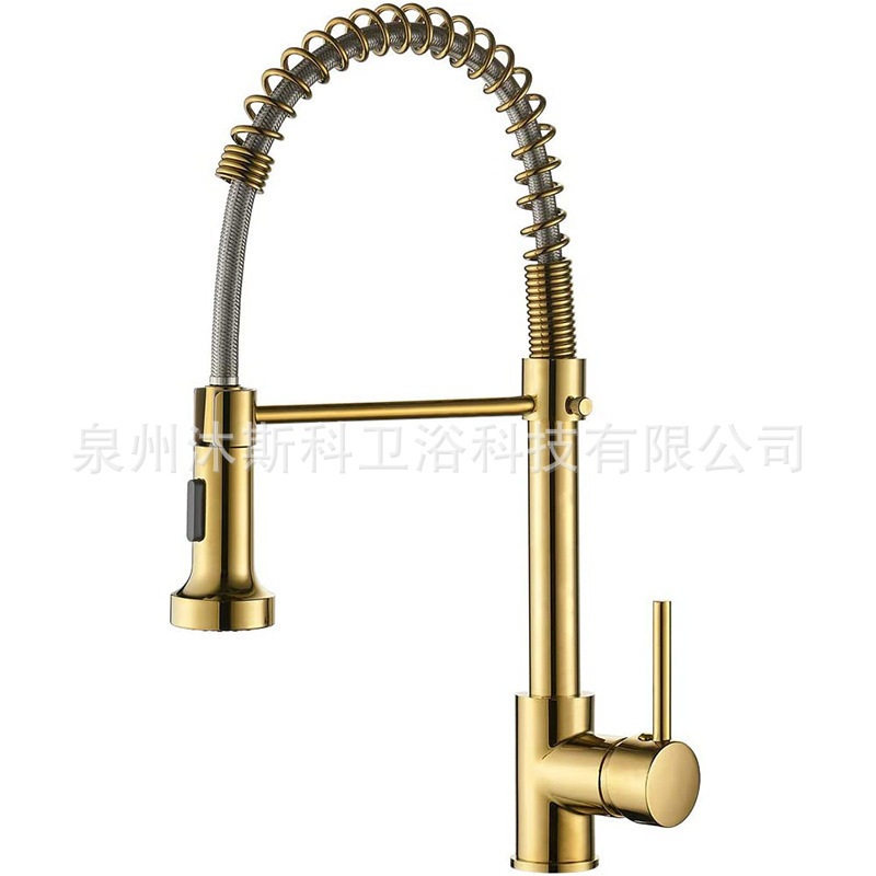 Grifo de cocina transfronterizo lavabo universal grifo de agua fría y caliente fregadero al por mayor de comercio exterior soporte de resorte grifo de cocina image 10
