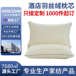 绗缝定位羽丝绒枕芯工厂直供纤维枕星级酒店枕头丝棉护颈枕批发