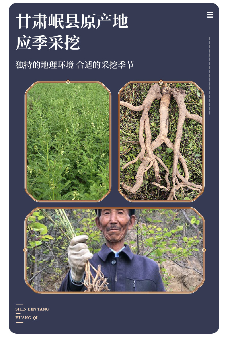 Dried Astragalus Root Slices Large Cut Huang Qi 250g Northern Bei Qi for Tea and Soup preparation