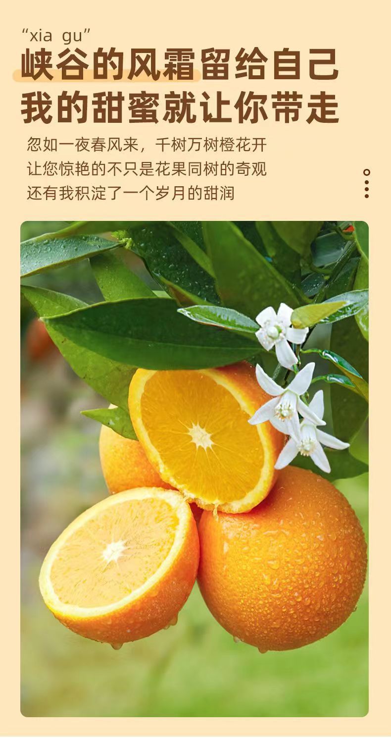 微信图片_20240320165327