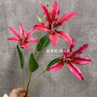 ����3D��ӡ�ٺϻ�ˮ�ɰٺϻ���Y�È������ò廨�Ҿӿ͏d�ٻ��b�