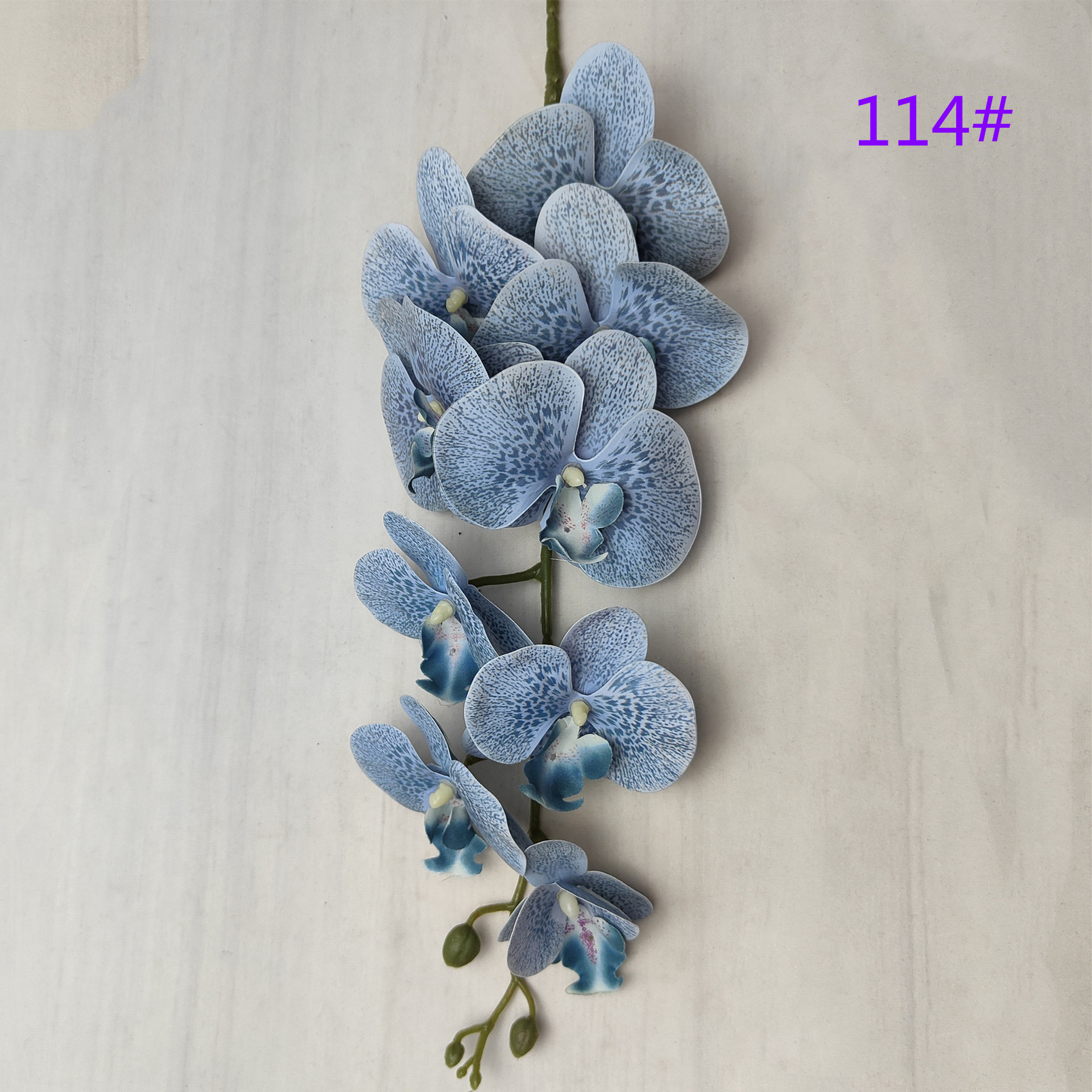 IMG20230510132628_副本