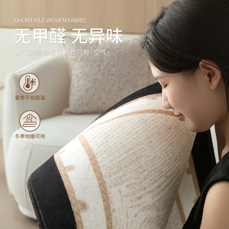 法式中古风地毯客厅卧室耐脏免洗2025新款轻奢高级沙发毯加厚防水|undefined