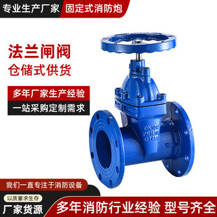 Cast Iron Blue Soft Seal Valve Flange Gate Valve Soft Seal Gate Valve Z45X-50 Flange Concealed Rod Gate Valve