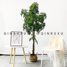 批发假树羽叶福禄桐招财树假桐树仿真绿植盆栽中式假树盆景办公室