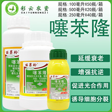 瑞邦丽果玲0.1%噻苯隆葡萄膨大剂大果坐果灵促进果实生产调节剂