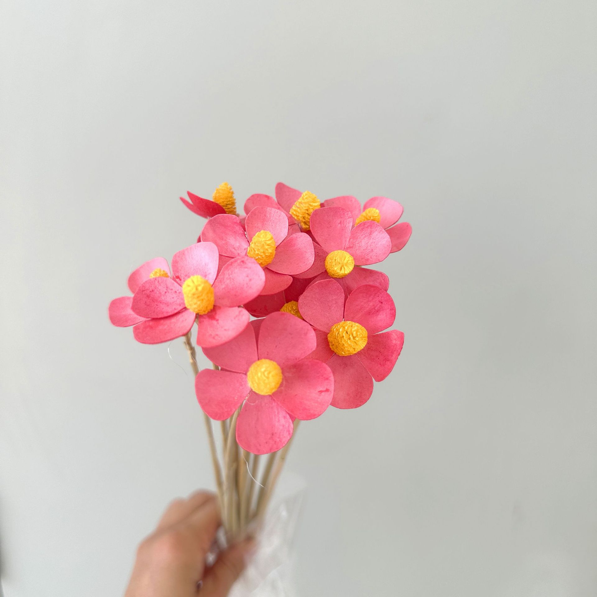 레드 12개 스틱/팩