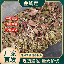 ���ڸ����Ͼ���ɏ��Ʒ����o��o�s�|�a��ֱ�l�Y���b�^���؛