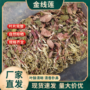 ���ڸ����Ͼ���ɏ��Ʒ����o��o�s�|�a��ֱ�l�Y���b�^���؛