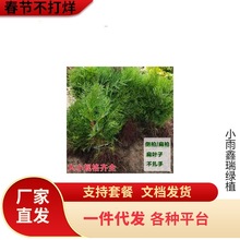 һlͥԺȰؾGؘȾGɰ؂Ȱ~ľ