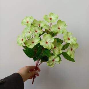 �羳���N���l���滨7���P�ɻ��Ҿӑ���ͥԺ�b廨�[�����컨