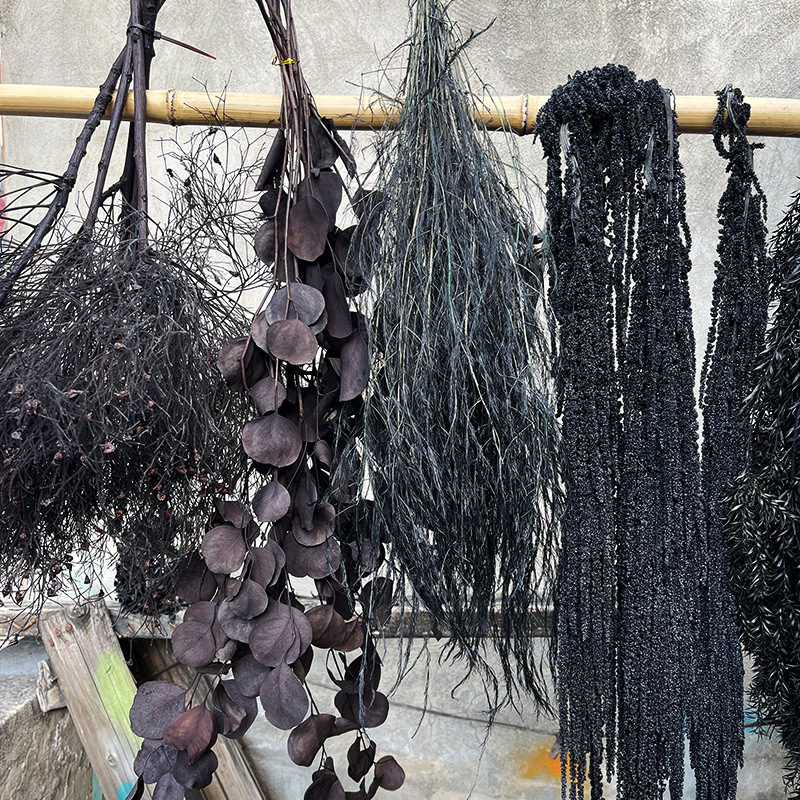 黑色系列干 干燥花材永生花真花暗黑神秘造景软装陈设diy配材工厂