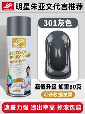 Avtomobil boya qələmləri: Black White Paint Can - haoshun-self-painted-450ml301-gray
