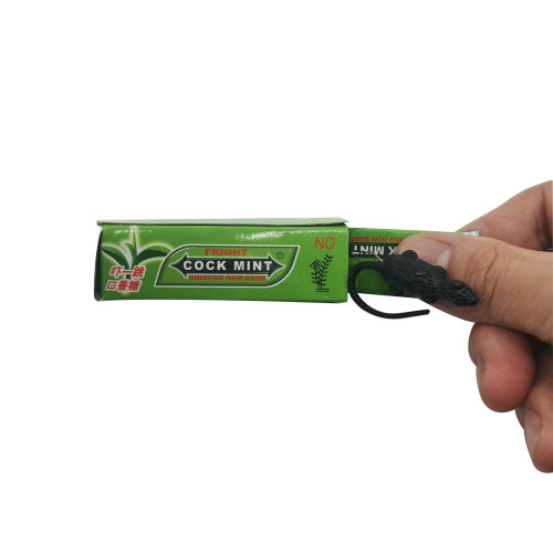 Cockroach mouse chewing gum startled April Fool's prank joke funny trick confectionery prank toy