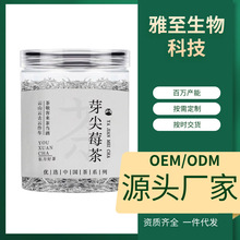 芽尖莓茶张家界新茶龙须芽尖土家藤茶高山芽尖藤茶茅岩莓茶代发