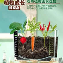 ��ͯ�NֲС����С�r���lѿСֲ��С���r����С�r����ϵ���L�^�촰