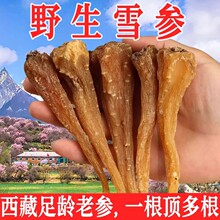 西藏产藏雪参藏血参雪人参玉山参红毛阳刺参西藏雪域参包邮真货好