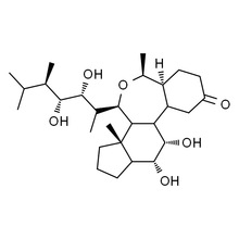 B8780 24-��̦ܿ�؃��� Brassinolide 78821-43-9 ������