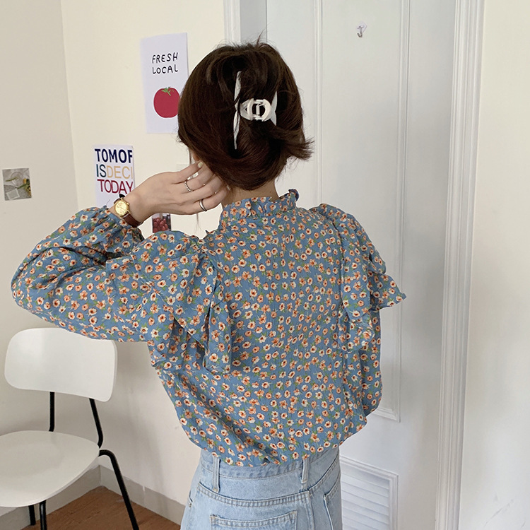 帮手描述图：韩国 chic2020秋冬新款ins风复古轻熟碎