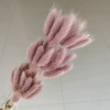 Light milk tea rabbit tail grass, a bunch of about 60 pieces