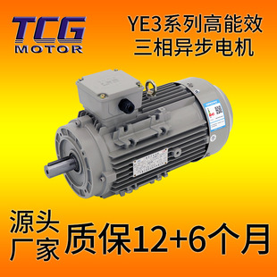 YE3̨����Ч���ஐ��늄әC 250w 380V����Ч늙C ��Ȧ���x�����~