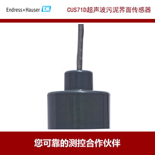 E+H����˹��˹ ����������������CUS71D  ����ʽ, 15����|,