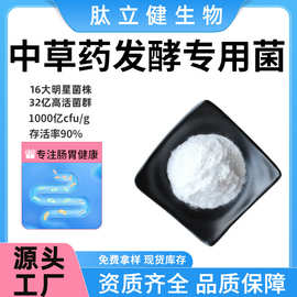 中草药发酵益生菌五菌复合益生菌粉食品级原料厂家正品发酵中药菌