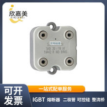 SKB30-16A1 SKB30-12A1 �������������Ԫ���� ��̖�Rȫ����r��