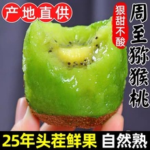 陕西亚特绿心猕猴桃10斤当季新鲜水果正宗绿心奇异果孕妇大果整箱