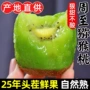 陕西孕妇大果新鲜奇异果