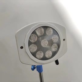 美容台;医疗灯具;狗狗窝/笼/垫