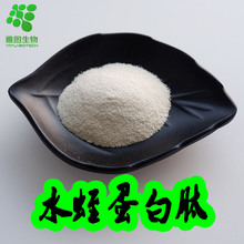 ˮ�ε�����ʳƷ��ˮ����ˮ����ȡˮ��ˮ��С�������ňD������]