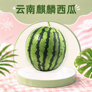 ����������� ���l���l3/9�ﱡƤɳȿ���Ĵ���Ϸ��������rˮ��