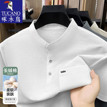 ��ľ�B��ʿ���I����POLO���ļ����̄����eT���ְ��b���|�ڴ��w��