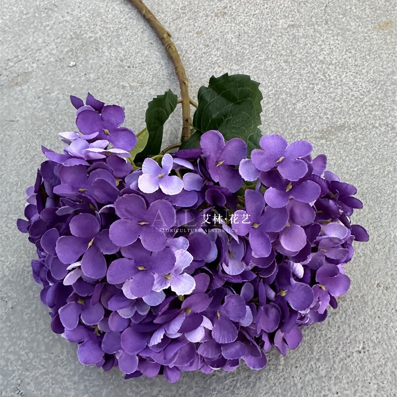 30cm 직경 대 군주 수국 딥 퍼플