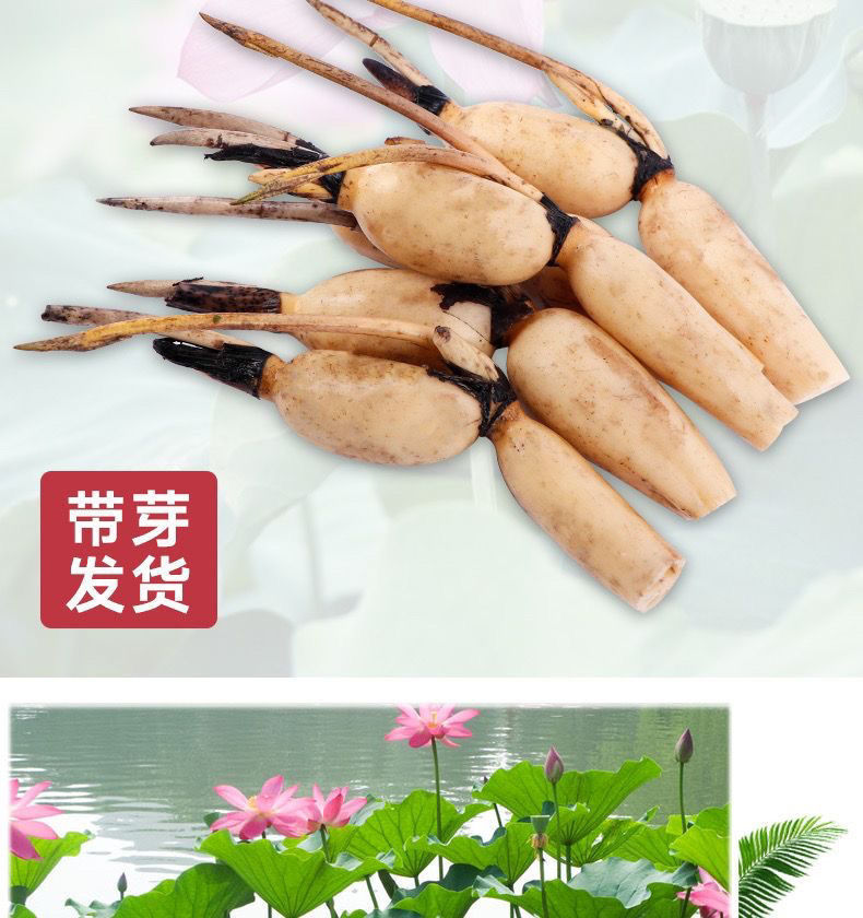 e2b89b92-380f-4f25-8232-6ed348fdd2b0.jpe