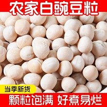 四川白豌豆农家生豌豆干可发豆芽豌豆粒干货小面商用豆类杂粮豌豆