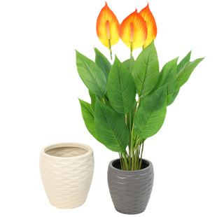 �羳��̱���Sֱ����W�L�҃�����;GֲPE����