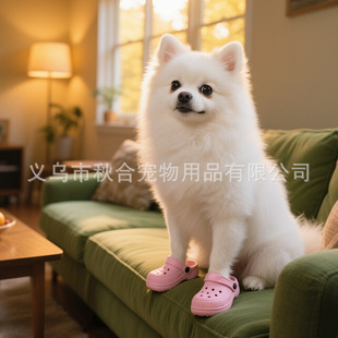 Pet Mini Croc Shoes Dog Shoes Cat Sandals Slippers Cute DIY Decorative Toy Shoes Cross-Border Pet Supplies
