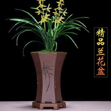 兰花专业盆精品紫砂兰花盆君子兰带托盘兰盆景陶瓷盆栽室内客厅