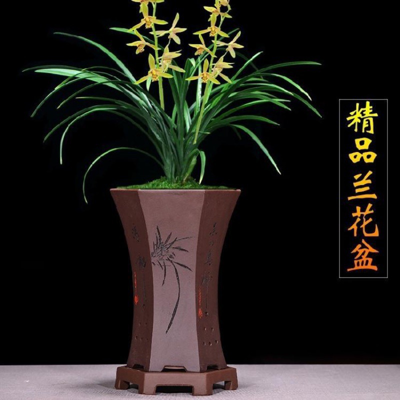 兰花专业盆精品紫砂兰花盆君子兰带托盘兰盆景陶瓷盆栽室内客厅