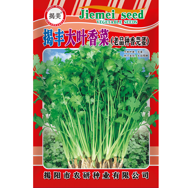 Jiemei 20g Large-Leaf Coriander Seeds, Old Varieties, Fragrant Coriander Seeds, Balcony Gardening Potted Vegetable Seeds