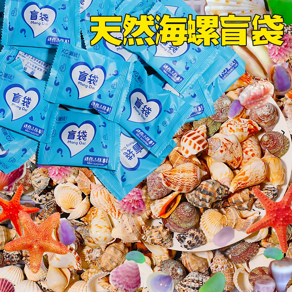 Ocean shell blind bag super multi-style blind bag shell conch combination mini conch student small prize