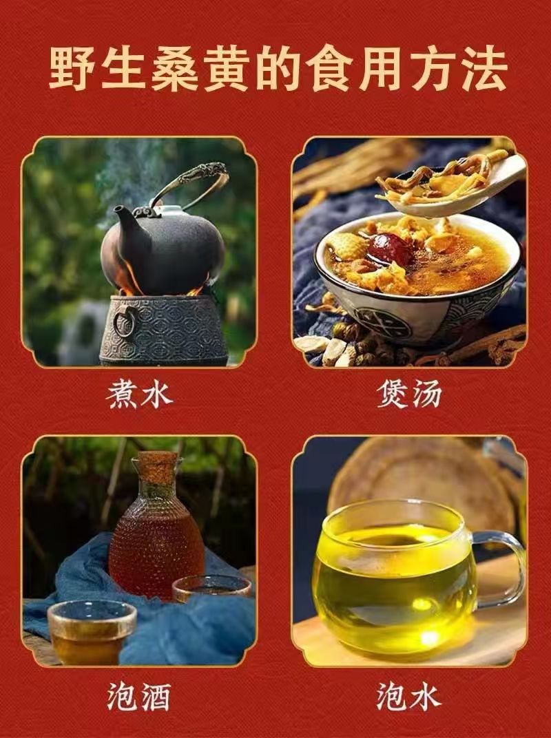 Sang Huang Mulberry Yellow Fungus Sliced 100g Bag Traditional Herbal Wellness for Middle Aged and Older Adults preparation