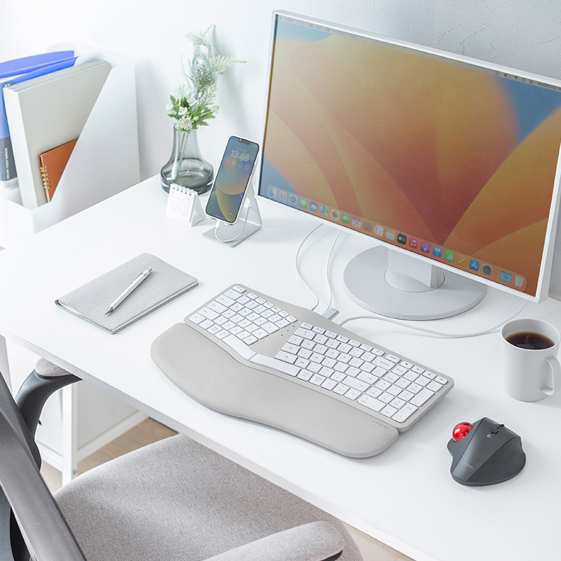 Japan SANWA Ergonomic Keyboard with HUB to Expand Wrist Bracelet Office Home Wired Dual System to Turn C Port