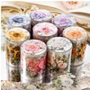 The beautiful day tape meets the flower sea series cut mold, plant flower hand account DIY material decoration