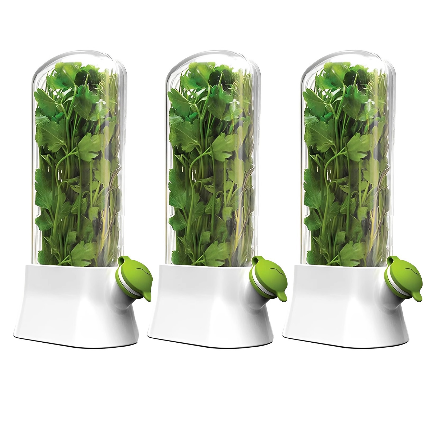 Caja de conservación de vegetales de vainilla transfronteriza anti-compresión malos conservadores ambientales creativos fabricantes de tazas de conservación de cilantro al por mayor