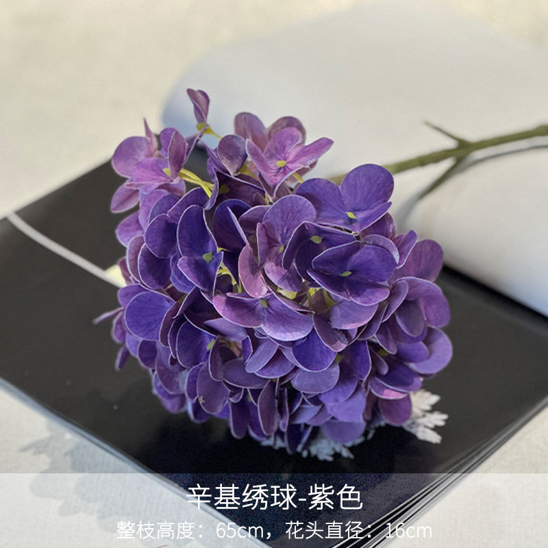 Hortensia de octilo púrpura